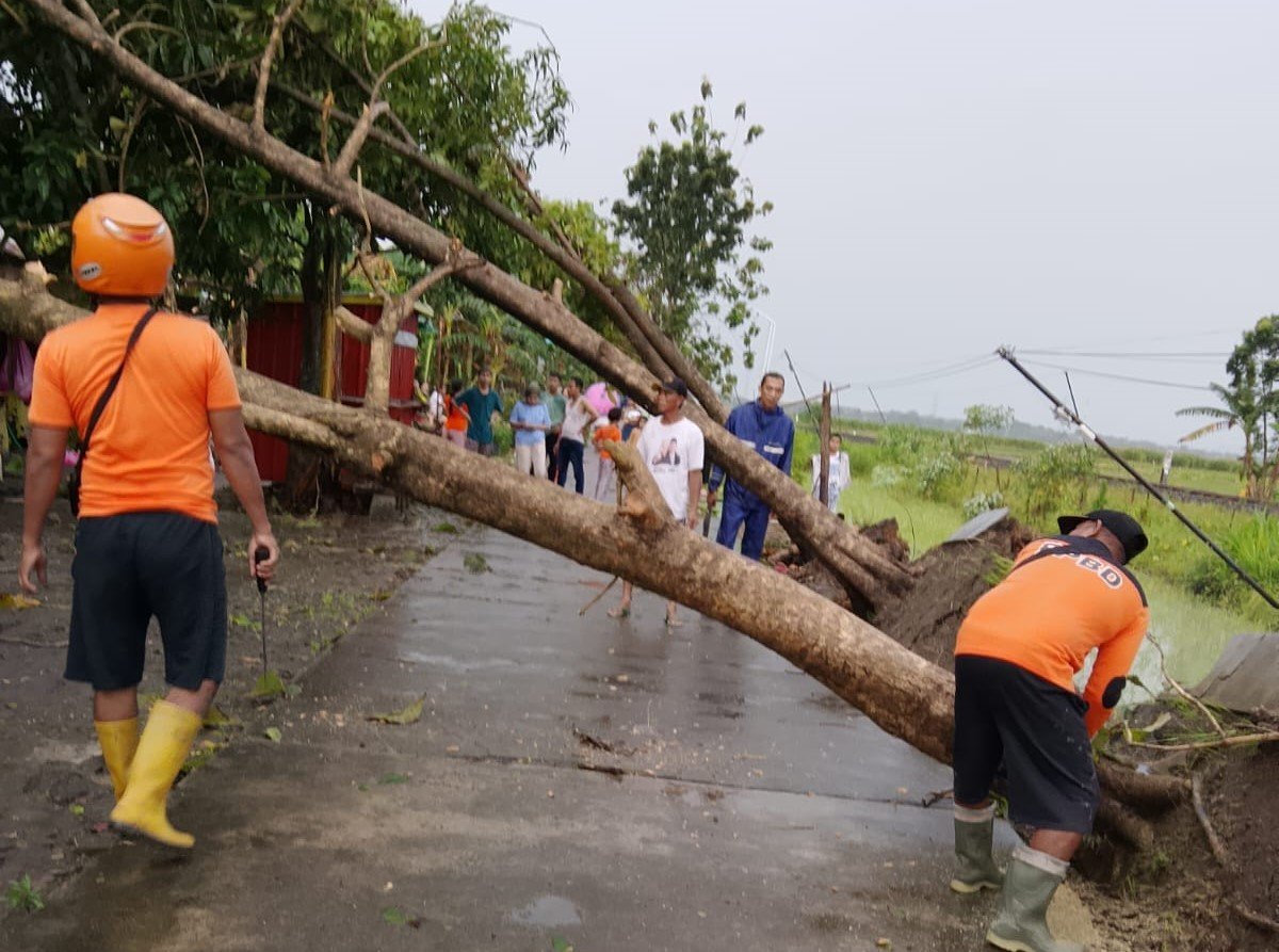 FOTO 12 April_Tim reaksi cepat BPBD Kabupaten Subang lakukan penanganan pascaangin kencang di Kabupaten Subang, Jawa Barat. dok