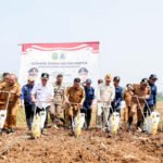 FOTO 22 April_Panen jagung banten