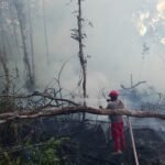 FOTO 27 April_Kebakaran hutan dan lahan (karhutla) terjadi di Kabupaten Kutai Barat, Provinsi Kalimantan Timur. dok. bpbd