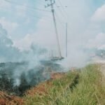 FOTO 28 April_Petugas melakukan pemadaman kebakaran lahan di Desa Simpang Terusan, Kecamatan Muara Bulian, Kabupaten Batanghari, Provinsi Jambi.