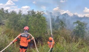 FOTO 9 April_Tim Gabungan memadamkan api pada lahan seluas 10 hektare di Kabupaten Ogan Ilir, Sumatra Selatan. dok. bpbd
