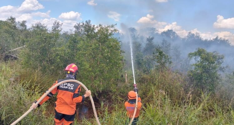 FOTO 9 April_Tim Gabungan memadamkan api pada lahan seluas 10 hektare di Kabupaten Ogan Ilir, Sumatra Selatan. dok. bpbd