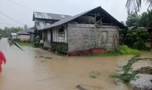 FOTO 10 Mei_Kondisi banjir yang merendam permukiman warga di Kabupaten Kepulauan Mentawai, Provinsi Sumatra Barat. bpbd