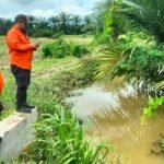 FOTO 11 Mei_Tim BPBD Kabupaten Luwu Timur memantau tinggi muka air di daerah terdampak banjir Desa Balo-Balo, Kec Wotu, Kab Luwu Timur, Prov Sulawesi Selatan. bpbd