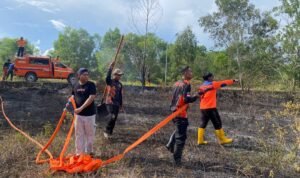 FOTO 15 Mei_Kebakaran hutan dan lahan terjadi di Kabupaten Nunukan, Provinsi Kalimantan Utara. dok. bpbdkabupatennunukan