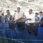 FOTO 16 Mei_Panen ikan lele bioflok pada program Budidaya Ikan Tematik bersama Koperasi Desa Merah Putih (KDMP) di Desa Mekarsari, Kec Cipongkor, Kab Bandung Barat