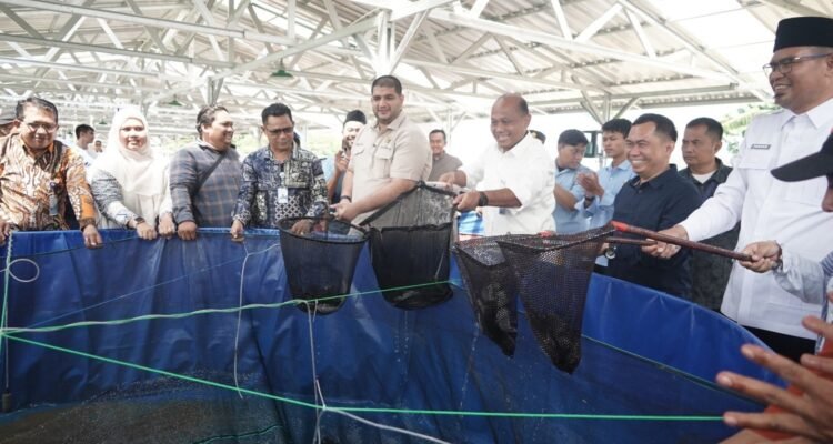 FOTO 16 Mei_Panen ikan lele bioflok pada program Budidaya Ikan Tematik bersama Koperasi Desa Merah Putih (KDMP) di Desa Mekarsari, Kec Cipongkor, Kab Bandung Barat