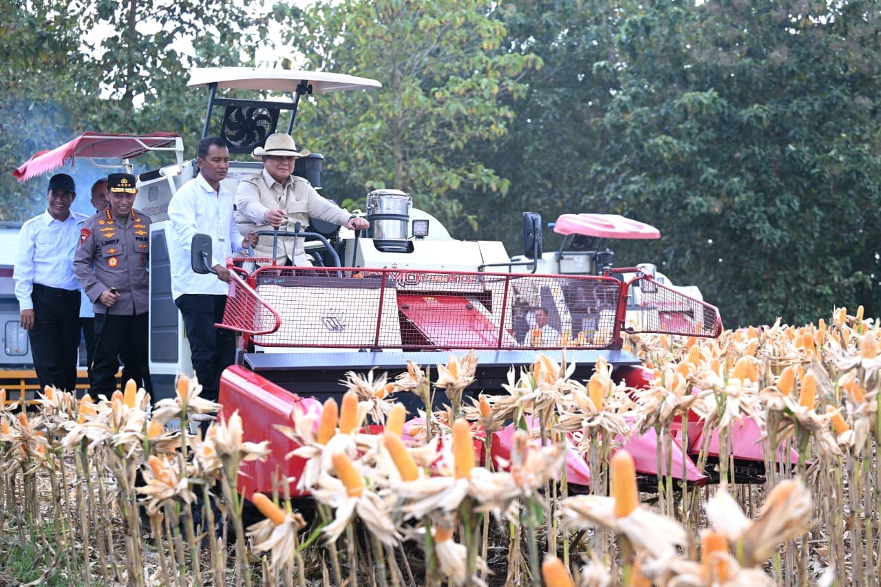 FOTO 18 mei_Panen komoditas jagung di Kabupaten Tuba, Provinsi Jawa Timur. dok. bapanas)
