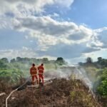 FOTO 23 Mei_Personil BNPB Kabupaten Berau memadamkan api pada lahan terbakar di Kecamatan Sambaliung, Kabupaten Berau, Kalimantan Timur