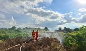 FOTO 23 Mei_Personil BNPB Kabupaten Berau memadamkan api pada lahan terbakar di Kecamatan Sambaliung, Kabupaten Berau, Kalimantan Timur