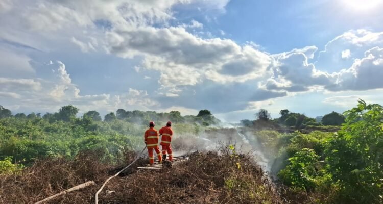 FOTO 23 Mei_Personil BNPB Kabupaten Berau memadamkan api pada lahan terbakar di Kecamatan Sambaliung, Kabupaten Berau, Kalimantan Timur