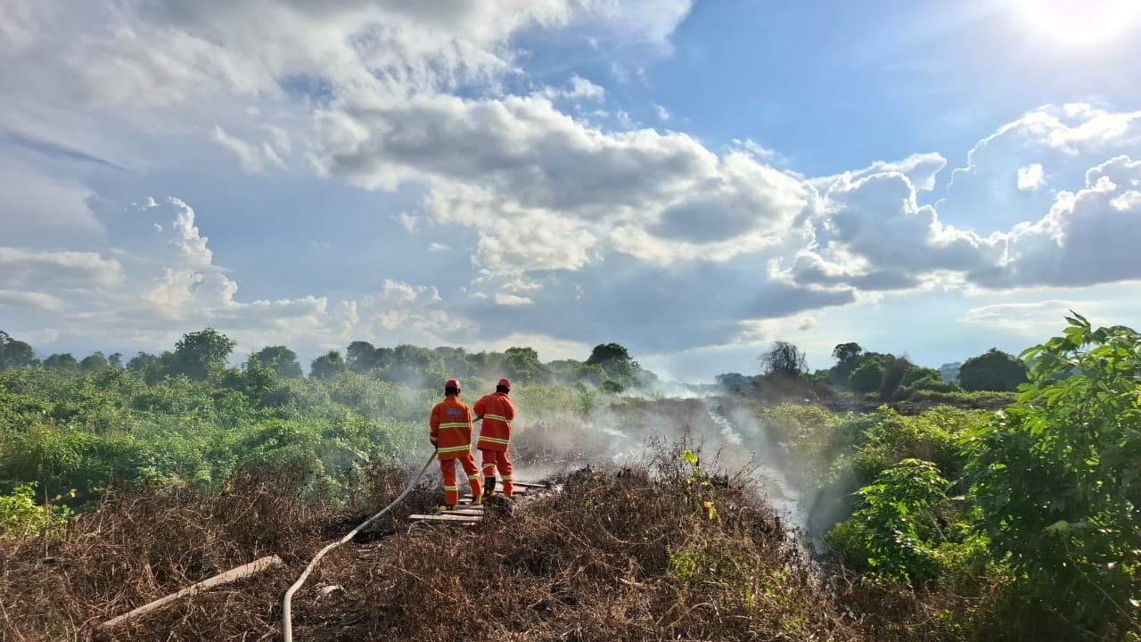 FOTO 23 Mei_Personil BNPB Kabupaten Berau memadamkan api pada lahan terbakar di Kecamatan Sambaliung, Kabupaten Berau, Kalimantan Timur
