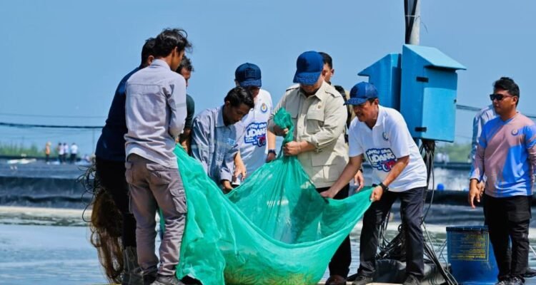 FOTO 23 Mei_Presiden Prabowo Subianto turut menarik jaring saat proses panen raya udang di Tambak Budidaya Udang Berbasis Kawasan (BUBK) Kebumen. setpres