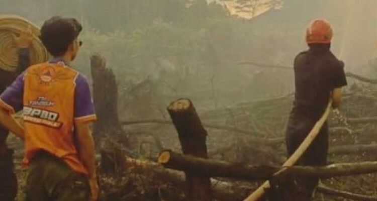 FOTO 31 Mei_Petugas memadamkan kebakaran hutan dan lahan di Desa Sungai Raya, Kecamatan Cerbon, Kab Barito Kuala, Prov Kalimantan Selatan