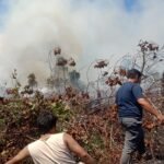FOTO 4 Juni_Tim gabungan memadamkan kebakaran hutan dan lahan (karhutla) di Desa Pulo Sarok, Kecamatan Singkil, Kabupaten Aceh Singkil, Provinsi Aceh.