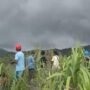 FOTO 8 Mei_Tim SAR gabungan berada di Pos 5 pendakian Gunung Api Dukono untuk mencari dan mengevakuasi dua WNA pada peristiwa erupsi Gunung Api Dukono. dok