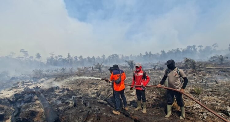 FOTO 1 Juni_Sejumlah tim gabungan memadamkan kebakaran hutan dan lahan yang terjadi di Kabupaten Nagan Raya, Provinsi Aceh. dok. bpbd