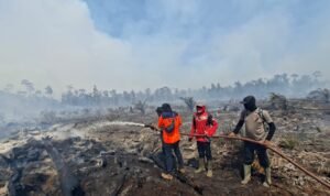 FOTO 1 Juni_Sejumlah tim gabungan memadamkan kebakaran hutan dan lahan yang terjadi di Kabupaten Nagan Raya, Provinsi Aceh. dok. bpbd