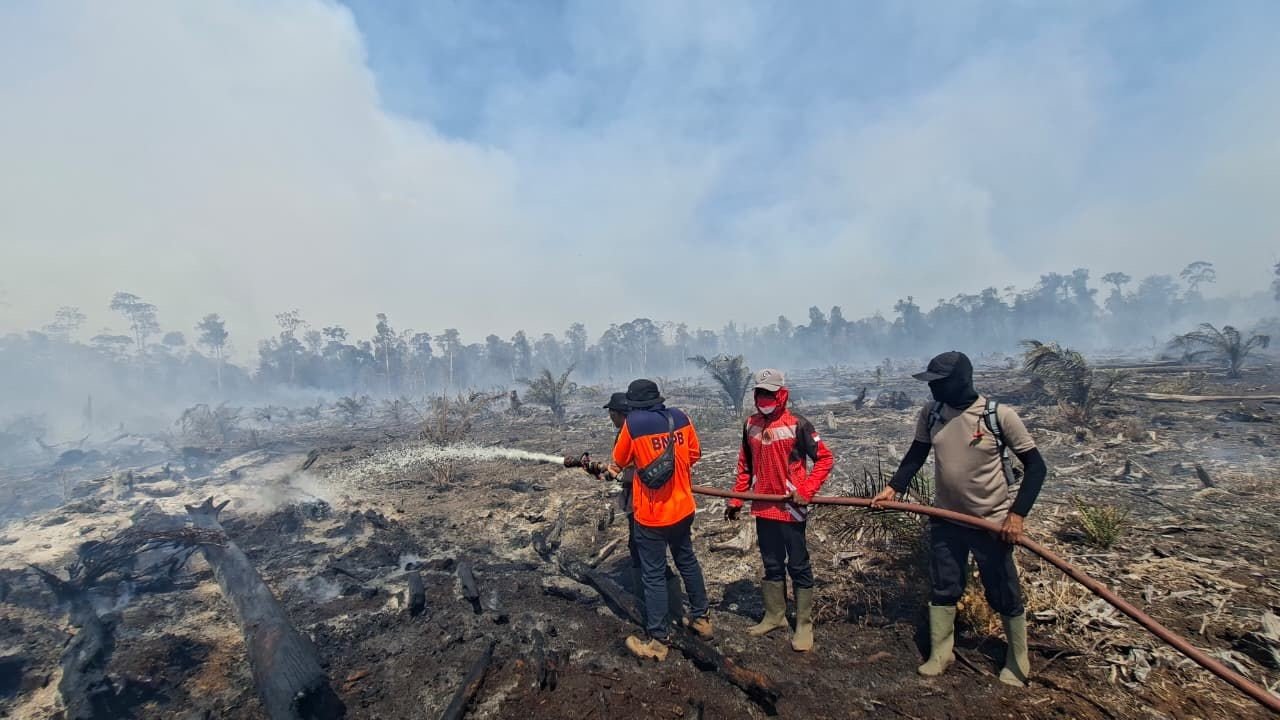 FOTO 1 Juni_Sejumlah tim gabungan memadamkan kebakaran hutan dan lahan yang terjadi di Kabupaten Nagan Raya, Provinsi Aceh. dok. bpbd