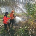 FOTO 11 Juni_Petugas gabungan melakukan pemadaman kebakaran hutan dan lahan di Kabupaten Nagan Raya, Aceh