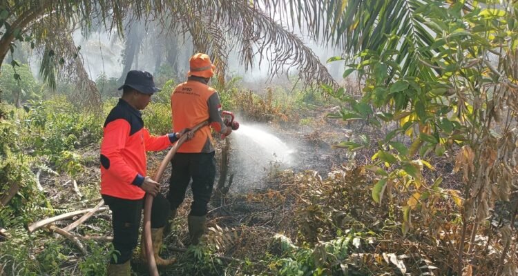FOTO 11 Juni_Petugas gabungan melakukan pemadaman kebakaran hutan dan lahan di Kabupaten Nagan Raya, Aceh