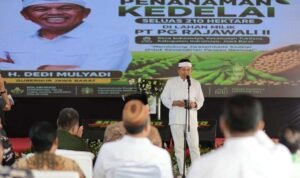 FOTO 12 Juni_Kegiatan penanaman kedelai di lahan seluas 210 hektare dalam rangka mendukung swasembada kedelai 2026 di Provinsi Jawa Barat.