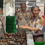 FOTO 12 Juni_Pemeriksaan buah salak dari Yogyakarta sebelum dikirim untuk ekspor. dok. barantin