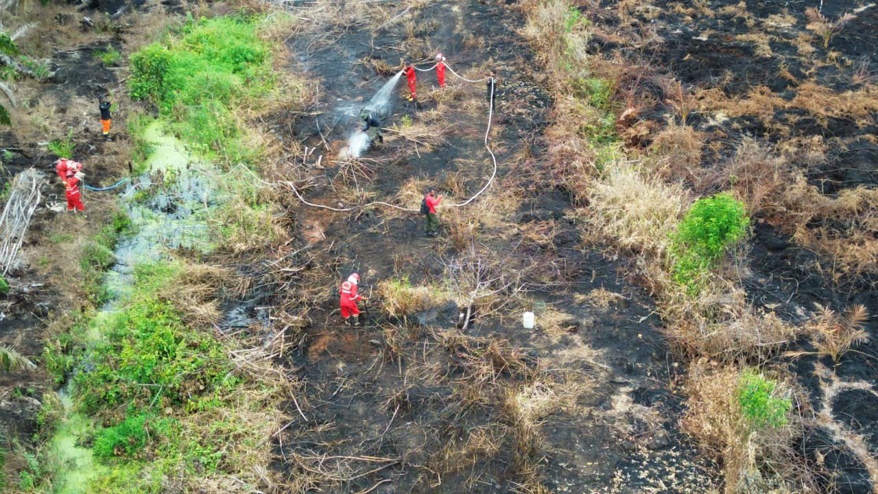 FOTO 13 Juni_Foto Udara dampak kebakaran hutan dan lahan (karhutla) yang terjadi di Kabupaten Aceh Barat, Provinsi Aceh. dok. bpbdkabupatenacehbarat