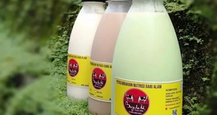 FOTO 16 Juni_Produk olahan dari susu sapi. dok. dinkopukmjateng