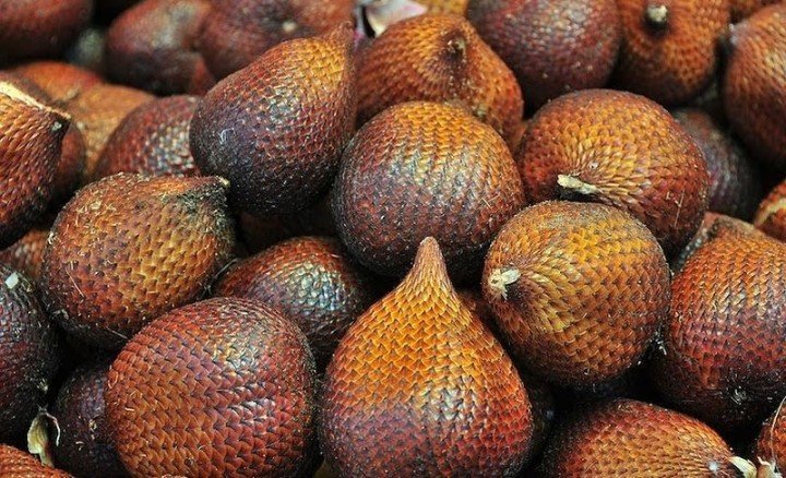 FOTO 16 Juni_Produksi buah salak lokal. dok. kementan