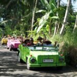 FOTO 2 Mei_Mitra industri pariwisata mancanegara tengah mengikuti program Mega FAM Trip 2026 di Yogyakarta yang diadakan oleh Kementerian Pariwisata