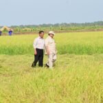 FOTO 28 Juli_Saat Presiden Prabowo Subianto berkunjung ke Desa Telaga Sari, Distrik Kurik, Kabupaten Merauke, Provinsi Papua Selatan. dok. setneg