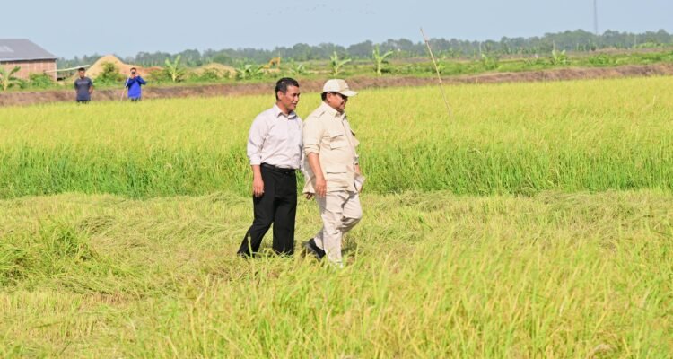 FOTO 28 Juli_Saat Presiden Prabowo Subianto berkunjung ke Desa Telaga Sari, Distrik Kurik, Kabupaten Merauke, Provinsi Papua Selatan. dok. setneg