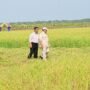 FOTO 28 Juli_Saat Presiden Prabowo Subianto berkunjung ke Desa Telaga Sari, Distrik Kurik, Kabupaten Merauke, Provinsi Papua Selatan. dok. setneg