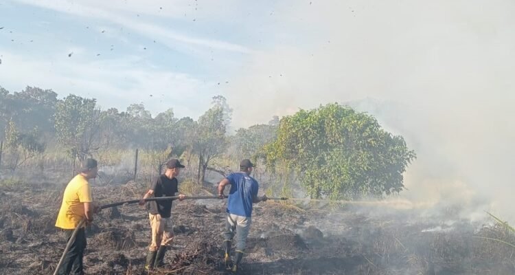 FOTO 3 Juni_Tim Gabungan melakukan pemadaman lahan yang terbakar di Kabupaten Aceh Singkil, Aceh. dok. bpbd