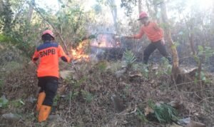 FOTO 12 Juli_Tim gabungan memadamkan kebakaran hutan dan lahan (karhutla) di wilayah Kabupaten Trenggalek, Jawa Timur. bpbd
