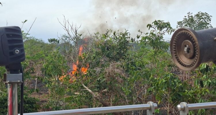 FOTO 15 Juli_Lahan terbakar di Desa Gayo Murni, Kecamatan Atu Lintang, Kabupaten Aceh Tengah, Provinsi Aceh. dok. bpbdkabupaten