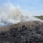 FOTO 17 Juli_Personel BPBD dan Tim Damkar berupaya memadamkan api di kawasan lahan tebu yang terbakar di wilayah Kabupaten Mojokerto, Prov Jawa Timur. bpbdprov