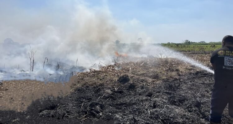 FOTO 17 Juli_Personel BPBD dan Tim Damkar berupaya memadamkan api di kawasan lahan tebu yang terbakar di wilayah Kabupaten Mojokerto, Prov Jawa Timur. bpbdprov