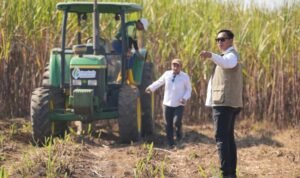 FOTO 20 Juli_Kegiatan Panen Raya Serentak Tebu, Padi dan Kedelai di Lanud Abdulrachman Saleh, Malang, Jawa Timur. bulog