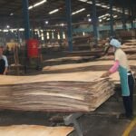 FOTO 25 Juli_Aktivitas pengolahan kayu hutan. (dok. kehutanan.go.id)