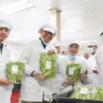 FOTO 27 Juli_Unit produksi sayuran Batamindo Green Farm di Kota Batam, Kepulauan Riau. dok. bapanas