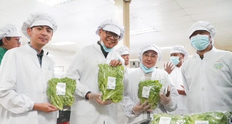 FOTO 27 Juli_Unit produksi sayuran Batamindo Green Farm di Kota Batam, Kepulauan Riau. dok. bapanas