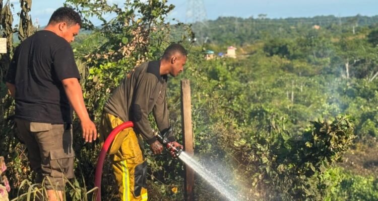 FOTO 31 Juli_Petugas gabungan saat berupaya memadamkan kebakaran hutan dan lahan di Kota Sorong, Provinsi Papua Barat Daya