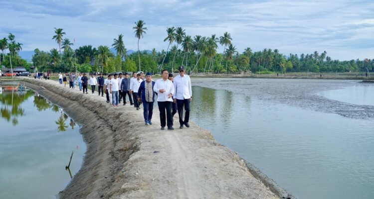 FOTO 31 Juli_Rehabilitasi kawasan tambak di Provinsi Aceh pascabencana. dok. kkp