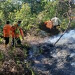 FOTO 9 Juli_BPBD Kabupaten Padang Lawas Utara bersama petugas gabungan memadamkan api di Desa Gunung Manaon, Kec Portibi, Kab Padang Lawas Utara, Prov Sumatra Utara