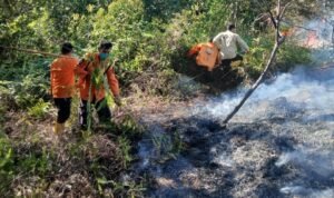 FOTO 9 Juli_BPBD Kabupaten Padang Lawas Utara bersama petugas gabungan memadamkan api di Desa Gunung Manaon, Kec Portibi, Kab Padang Lawas Utara, Prov Sumatra Utara