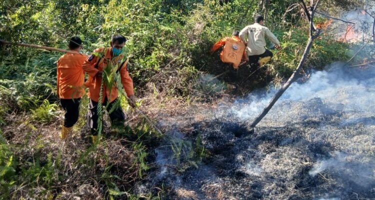 FOTO 9 Juli_BPBD Kabupaten Padang Lawas Utara bersama petugas gabungan memadamkan api di Desa Gunung Manaon, Kec Portibi, Kab Padang Lawas Utara, Prov Sumatra Utara