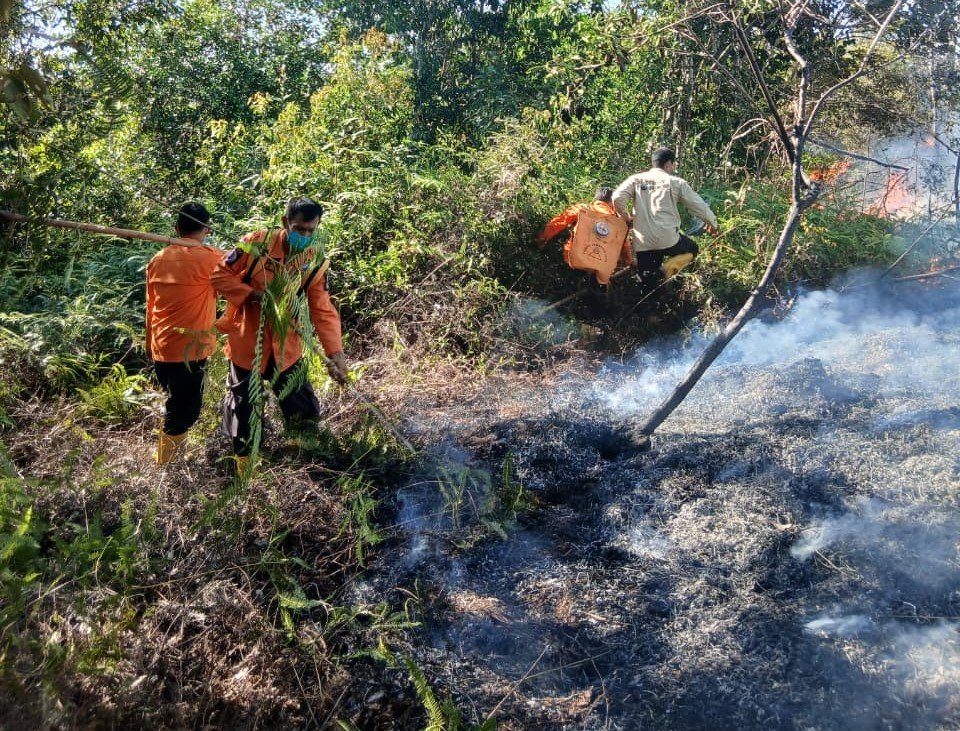 FOTO 9 Juli_BPBD Kabupaten Padang Lawas Utara bersama petugas gabungan memadamkan api di Desa Gunung Manaon, Kec Portibi, Kab Padang Lawas Utara, Prov Sumatra Utara