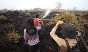 FOTO 1 Agustus_Kebakaran di Kalimantan